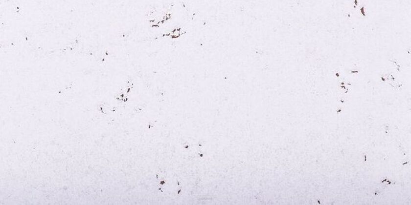Plutene zidne obloge  MALTA SNOW