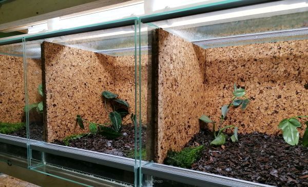 Ekspandirani pluto? Otkrijte prednosti dobre izolacije