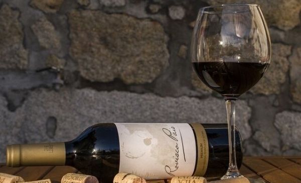 Sve što ste oduvijek željeli znati o plutu